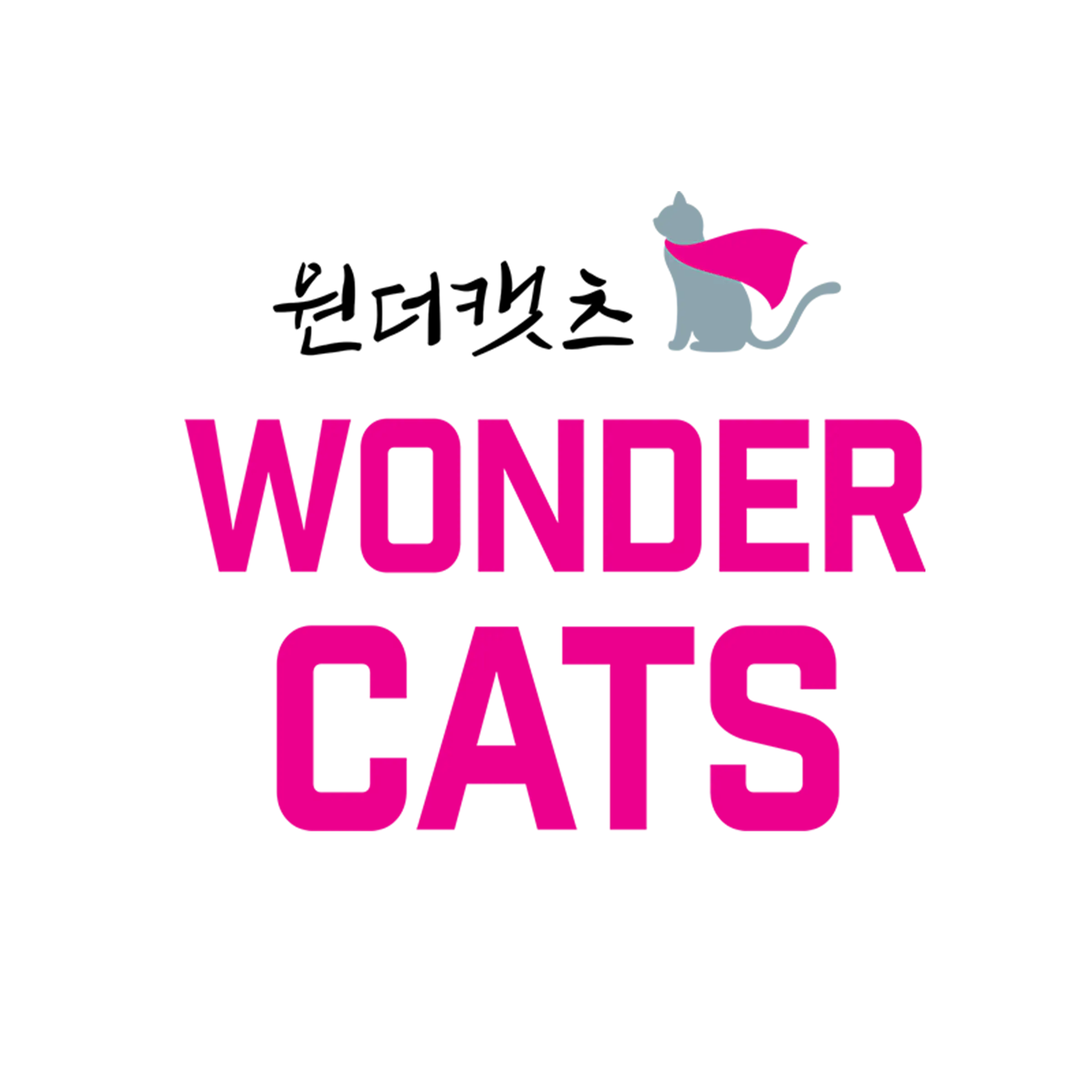 wonder cats 1679640107fcGEV