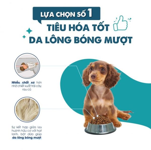 Hạt Cho Chó Bé Today’s Dinner Puppy (Hàn Quốc) – Vị Gà Cá & Rau Củ - Ảnh 2