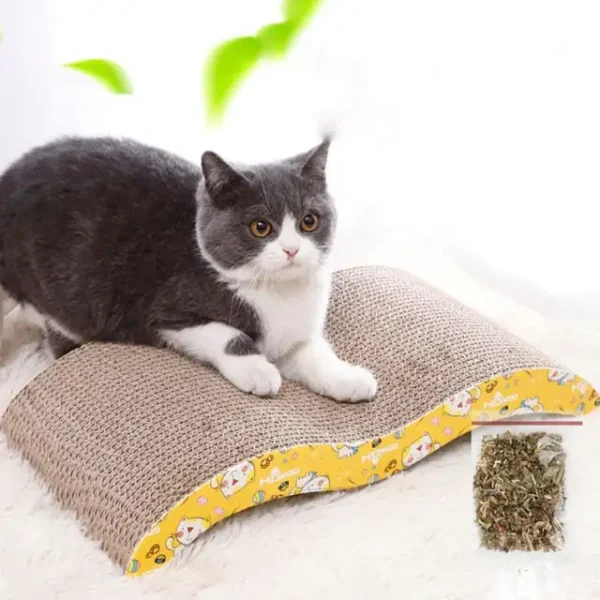 Bàn cào móng cho mèo (Kèm túi catnip)