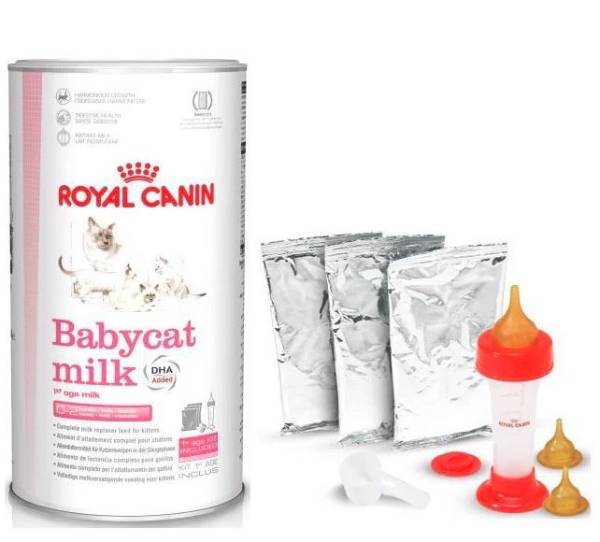 Sữa Royal Canin Babycat Milk