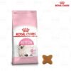 h t royal canin kitten cho meo con goi 2kg