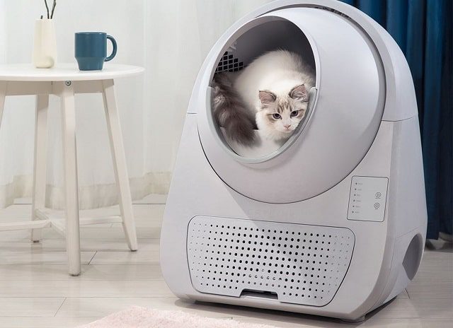 máy dọn phân mèo tự động Catlink