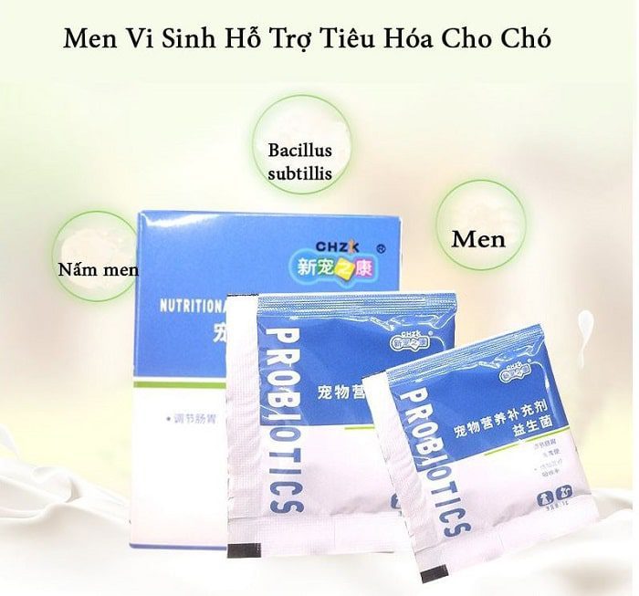 meo-con-bi-tieu-chay-12 Men vi sinh CHZK probiotics