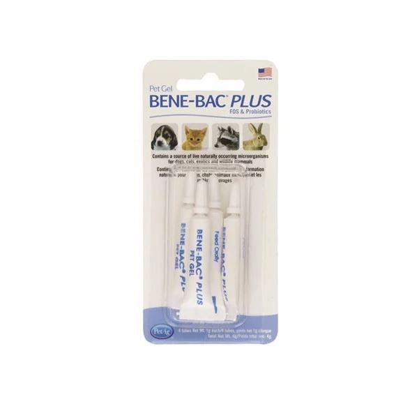 meo-con-bi-tieu-chay-8 PetAg Bene-Bac Plus