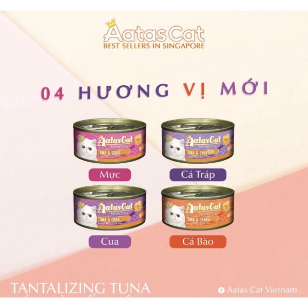 pate Aatas Cat 001