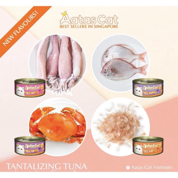 pate Aatas Cat 003