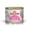 pate royal canin 001