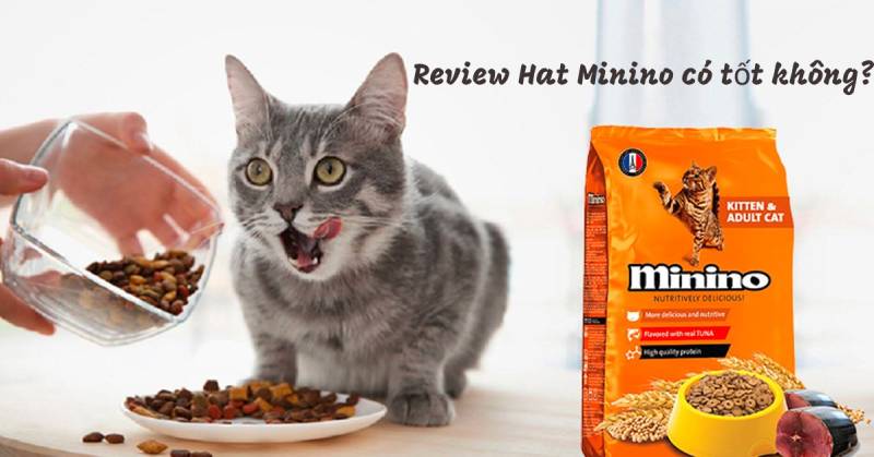 Review Hạt Minino Cho M&egrave;o C&oacute; Tốt Kh&ocirc;ng