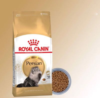 Hạt cho mèo Royal Canin Persian Adult