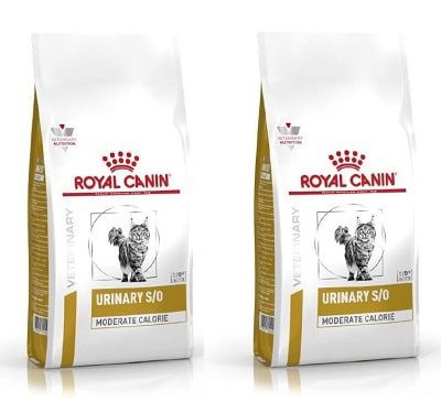 Hạt cho mèo Royal Canin Urinary