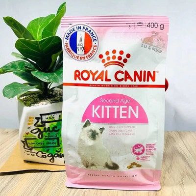 Hạt cho mèo Royal Canin Kitten