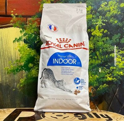 Hạt cho mèo Royal Canin Indoor