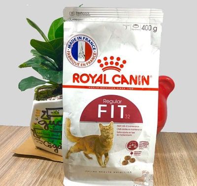 Hạt cho mèo Royal Canin Fit