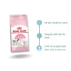 Thức ăn cho mèo Royal Canin Mother và Babycat 2kg