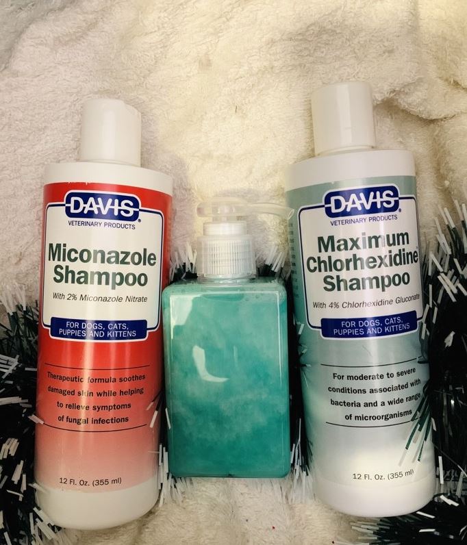 Sữa tắm trị nấm da ở mèo Davis Miconazole