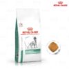 th c an cho cho ti u du ng royal canin diabetic goi 15kg