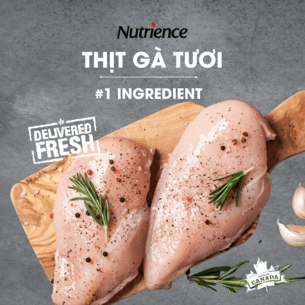 thuc an hat nutrience infusion 004