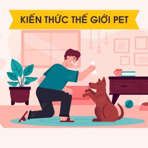 CÁCH CHỌN CHÓ VỀ NUÔI VÀ PHƯƠNG PHÁP HUẤN LUYỆN CHÓ ĐƠN GIẢN