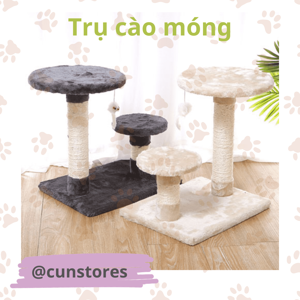 Tru cao mong cho meo