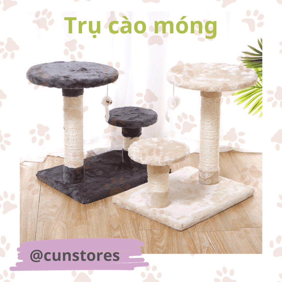 Tru cao mong cho meo