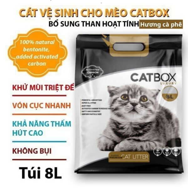 Cat ve sinh meo huong ca phe 8l