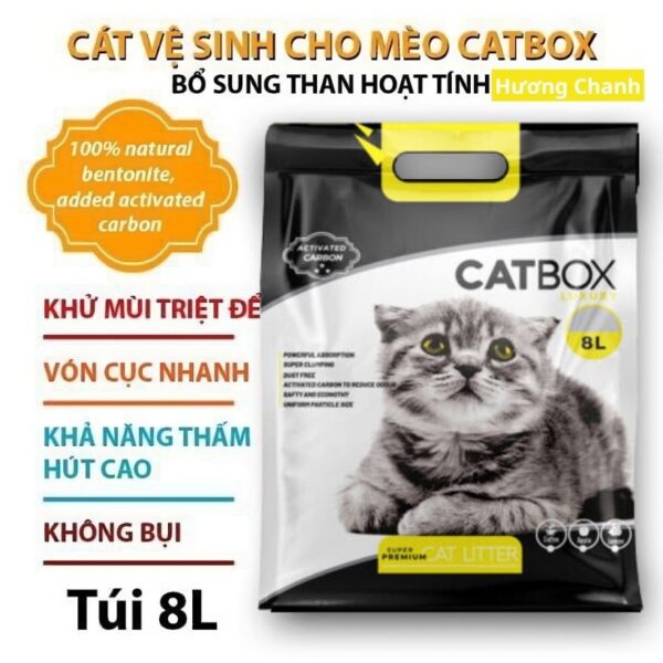 Cat ve sinh meo huong chanh 8l