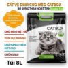 Cat ve sinh meo huong tao 8l luxury