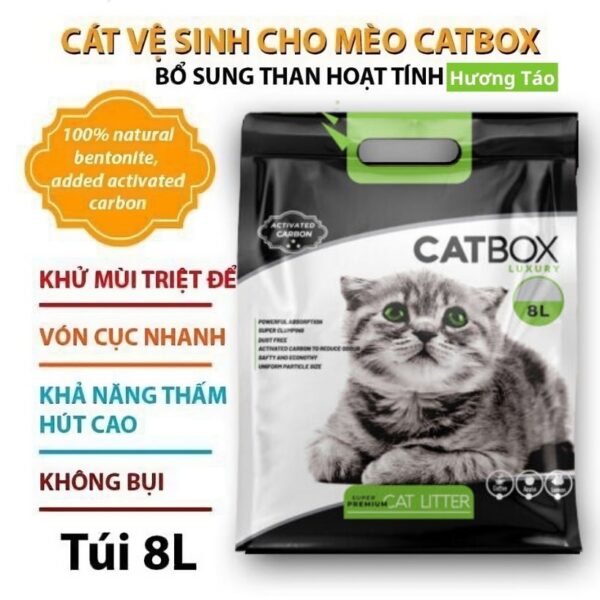 Cat ve sinh meo huong tao 8l