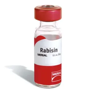 Lịch tiêm phòng vaccine cho mèo các Sen cần chú ý