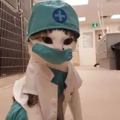 Doctor Cat here. How are you feline today?