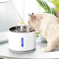 Being a pet parent, you must know the importance of keeping your fur baby hydrated at all times. It prevents them from getting kidney diseases or urinary infections. But most pets are not enthusiastic about drinking water from a standard stainless steel container which decreases their water intake. So, get this cat water fountain to provide a constant water supply that is hygienic, easily accessible for the pet, and low maintenance for you. In addition, it’ll encourage your cat to drink water in