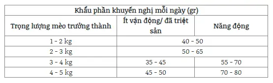 Lưu bản nh&aacute;p tự động