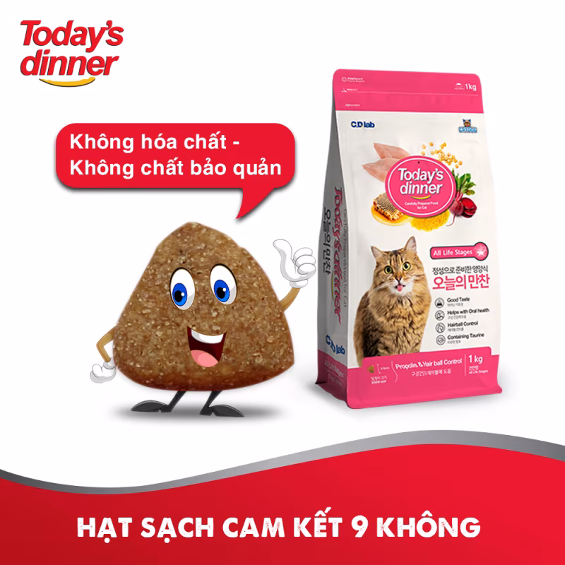 Lưu nháp tự động