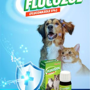Alternative view of Flucozol – Dung dịch uống trị nấm ngoài da và nấm hô hấp cho chó mèo