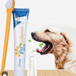 🐾 Bộ Bàn Chải & Kem Đánh Răng Cho Chó Mèo Pet Joothpaste