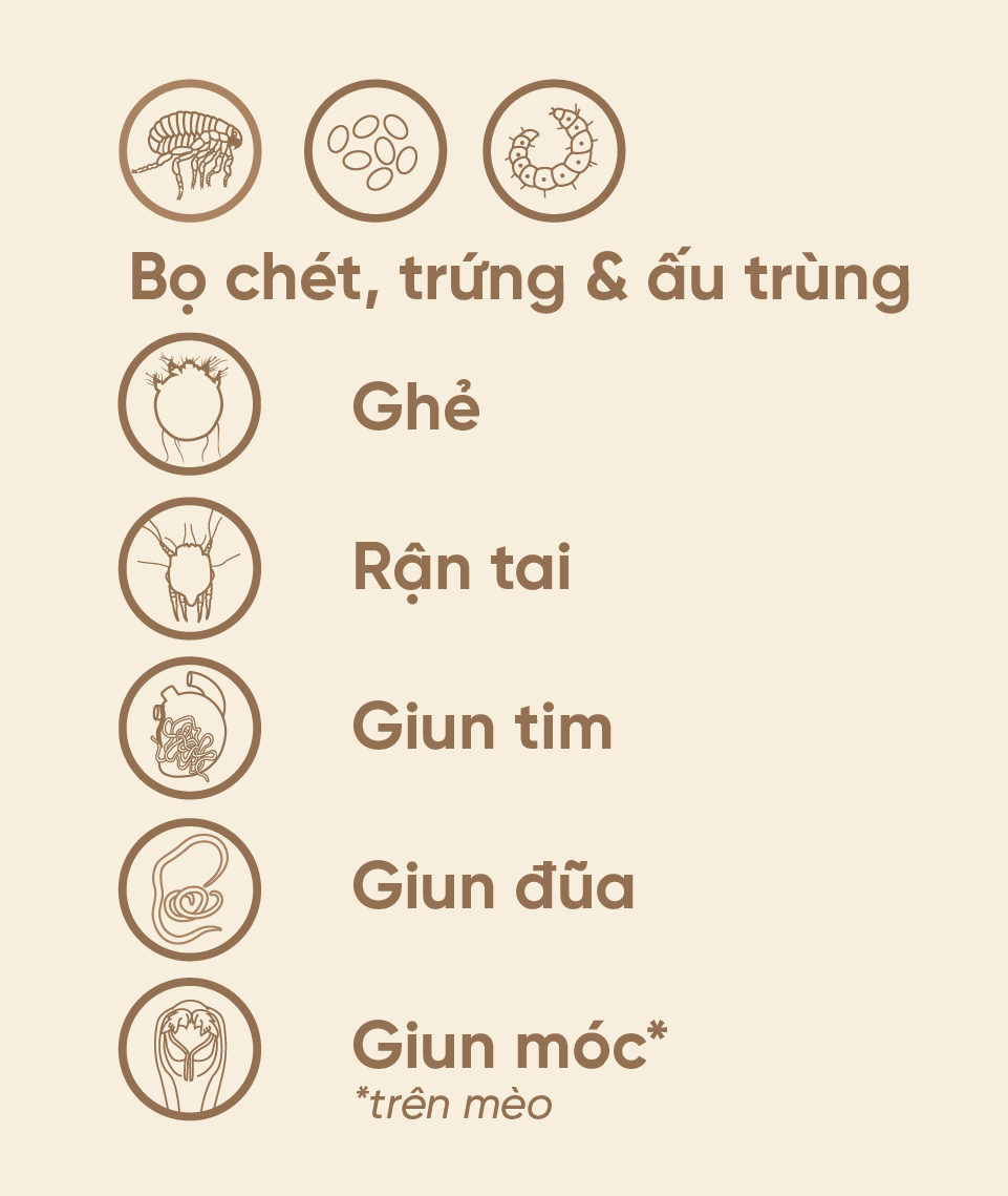 NHỎ G&Aacute;Y REVOLUTION – DIỆT TRỪ K&Iacute; SINH TO&Agrave;N DIỆN TR&Ecirc;N CH&Oacute; M&Egrave;O