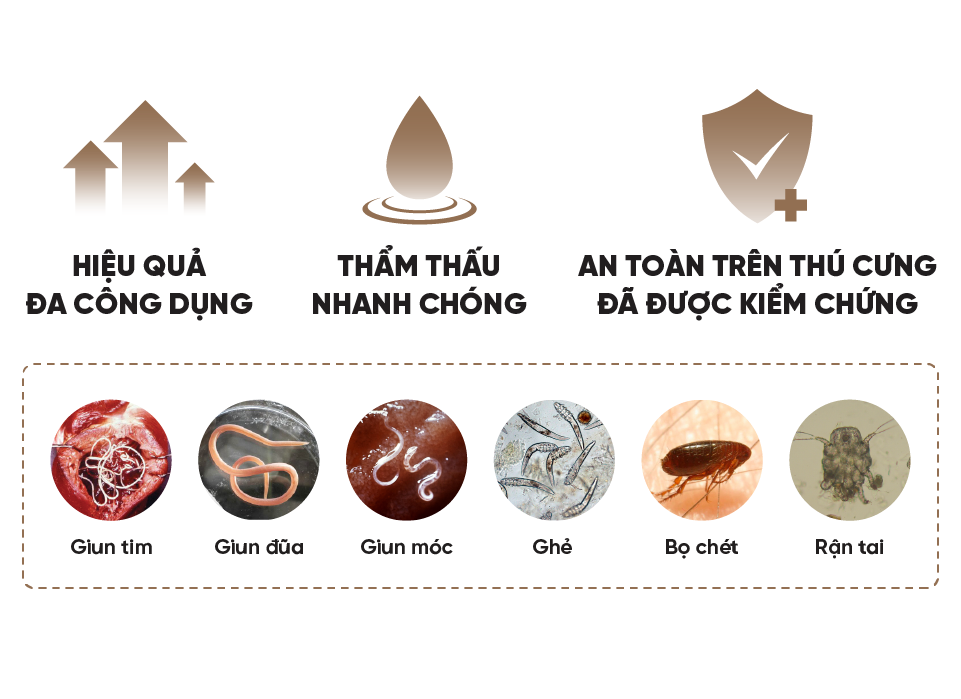 NHỎ G&Aacute;Y REVOLUTION – DIỆT TRỪ K&Iacute; SINH TO&Agrave;N DIỆN TR&Ecirc;N CH&Oacute; M&Egrave;O
