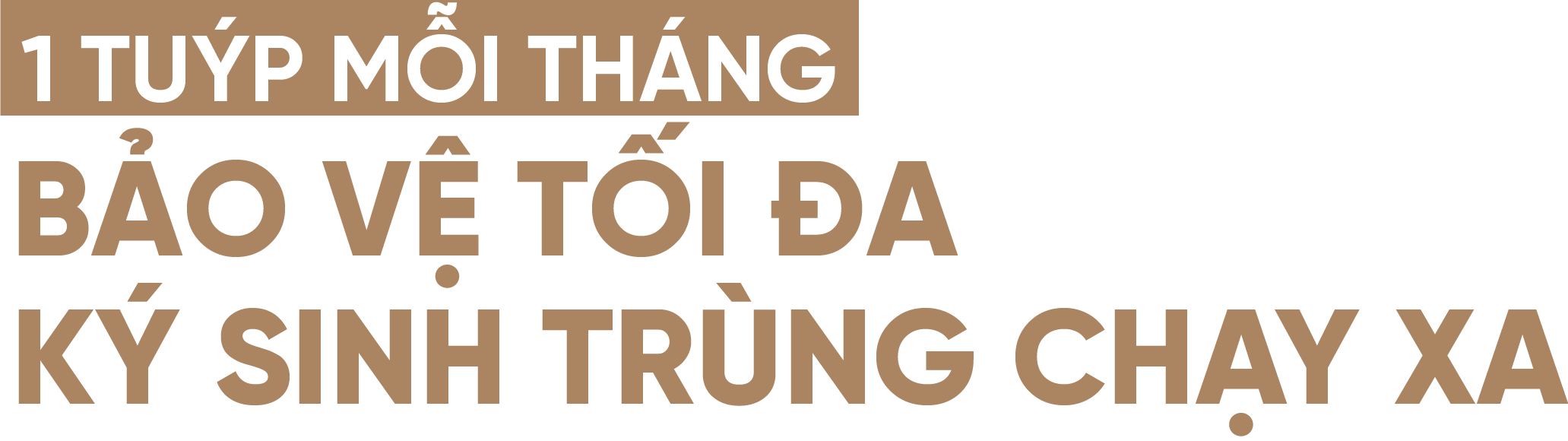 NHỎ G&Aacute;Y REVOLUTION – DIỆT TRỪ K&Iacute; SINH TO&Agrave;N DIỆN TR&Ecirc;N CH&Oacute; M&Egrave;O