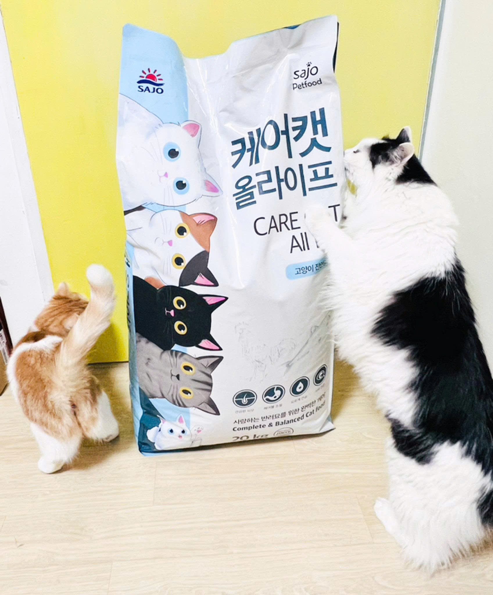 Hạt Cho Mèo 1kg Care Cat All Life - Ảnh 2