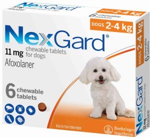 Alternative view of NexGard – Viên nhai hàng tháng - Phòng và trị ngoại ký sinh trùng cho chó