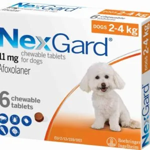 Alternative view of NexGard &ndash; Vi&ecirc;n nhai h&agrave;ng th&aacute;ng - Ph&ograve;ng v&agrave; trị ngoại k&yacute; sinh tr&ugrave;ng cho ch&oacute;