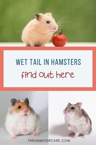 https://images.openai.com/static-rsc-4/49bNxnxS4_2MI6ysFLX1lt3d_5-hUboKGQ7zKs_tLvQ0l2y9vOUjgNGoFkwuVS4TBHounwSwA9dMFSOx8ZHv3lCRNHlzxPJvj9Fk_CgoRV6_tkKebnskvGpB5lZEVe6dI51xV_vaILMaJc-SRBNOURfvJhqYio1hgKVVUIp3SC17jl3WrMGIjCAAvPcjRe8q?purpose=fullsize