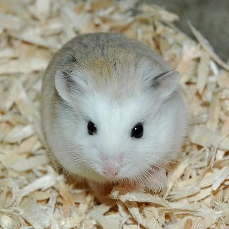 https://images.openai.com/static-rsc-4/MNMAL6HZZc-p7jkzcJEzje9trzlsDDDkAHJ-zjD8nzzN7ld7mAMNp9H3QmAuDJOwSH8ir11oAN4ZJ-uawQzFPYdTqIdFM85bLF5z5Orew6d70HtgoqFXLEyzjYFVV7SVG7BBaHi-LEh73JH1SSiIdlUsZ2k6oGLwzfz8vPkLMm3kKkApklEoSu8bKyXPZe4G?purpose=fullsize