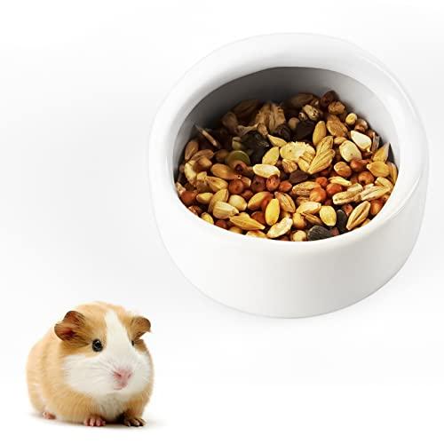 https://images.openai.com/static-rsc-4/5y8sRDx7z2KMAGKfTm-WuFaWJXfMuYpjj5ILvUUmH1oELhSqyh3s5D81MCzYRcqXPgUDw-2ckYJpxs9By2_o0B_XoMdJz5jIIoER6YFLZw4majYvyJ0QyhUOchzjg4QCQpjFkvtRrPnilPkdLgPYXrQecp83iSJz0Qic7t-fi9OfXzyY1QHYtIjAeYlIDI6d?purpose=fullsize