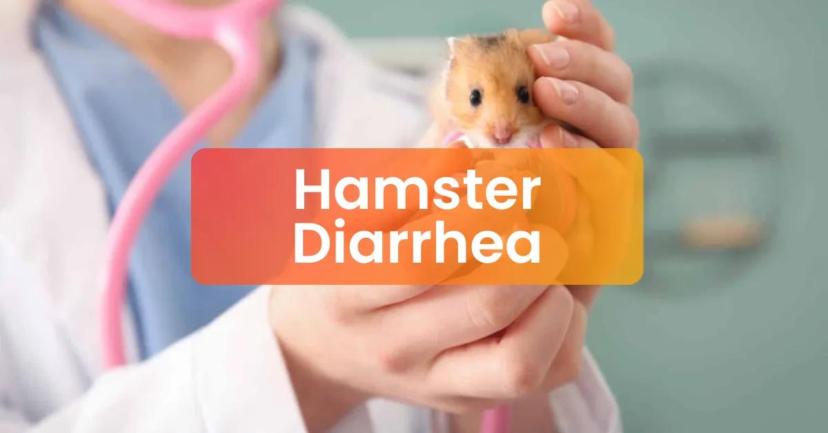 Bệnh thường gặp ở hamster