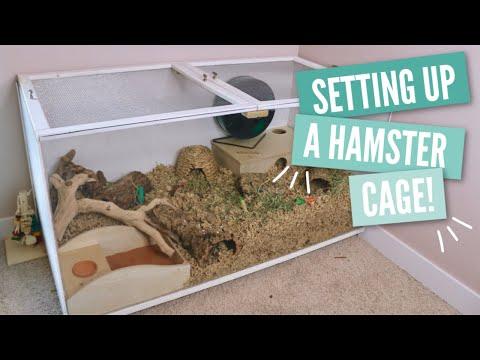 Chuong hamster