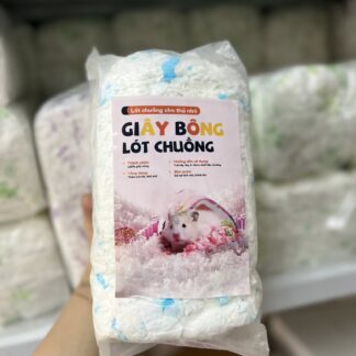 Giay bong