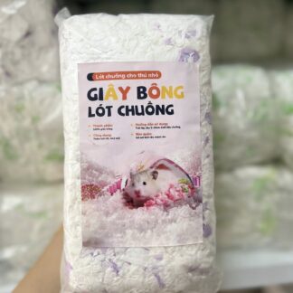 Giay bong